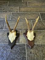 2 Mooie Ree Geweien samen € 17.50 Mancave Jacht Landelijk 99, Ophalen of Verzenden, Gebruikt, Hert, Gewei of Kop