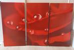 3-luik foto schilderij Roos met dauwdruppels, Ophalen