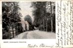 Zeist - Driebergsche Straatweg, Ophalen of Verzenden, Voor 1920, Gelopen, Utrecht