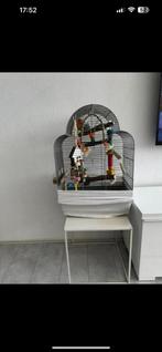 Vogel kooi inc 2 agapornus, Ophalen of Verzenden, Zo goed als nieuw, Metaal, Vogelkooi