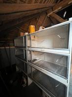 Broedkooien, Dieren en Toebehoren, Ophalen of Verzenden, Zo goed als nieuw, Hout, Broedkooi of Kweekkooi