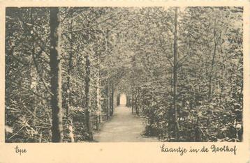 (701-322-025) Epe Laantje in de Doolhof beschikbaar voor biedingen