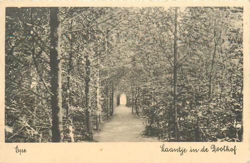 (701-322-025) Epe Laantje in de Doolhof, Verzamelen, Ansichtkaarten | Nederland, Gelderland, Ophalen of Verzenden