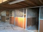 Gezocht stalling paard, Dieren en Toebehoren, Stalling en Weidegang, Weidegang, 1 paard of pony