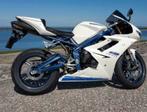 Triumph Daytona 675 (2010) Unieke kleurstelling, 675 cc, Sportuitlaat, Motorrijbewijs A, 3 cilinders