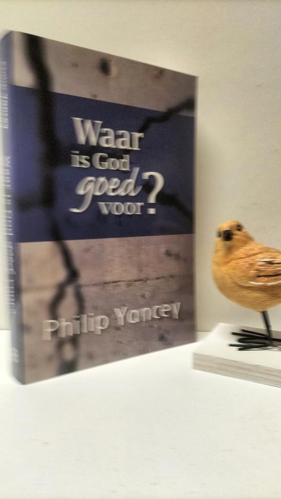 Yancey, Philip; Waar is God goed voor?, Boeken, Godsdienst en Theologie, Gelezen, Christendom | Protestants, Ophalen of Verzenden