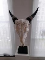 Gegraveerde koe schedel, Ophalen, Zo goed als nieuw, Schedel