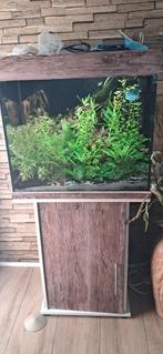 Juwel 120 liter aquarium, Ophalen of Verzenden, Zo goed als nieuw, Leeg aquarium