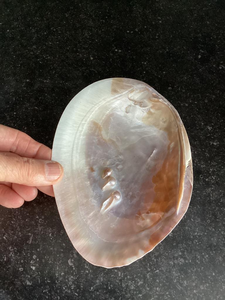 Schelp met parels, Ophalen of Verzenden, Zo goed als nieuw