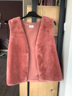 Vest gilet c’est beau la vie zacht roze NIEUW, Kleding | Dames, Maat 38/40 (M), Nieuw, Ophalen of Verzenden, Roze