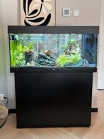 Compleet Aquarium Juwel Rio 180, Ophalen, Zo goed als nieuw, Gevuld zoetwateraquarium