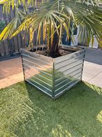 Bloembak nieuw in doos  , lxbxh 1mx1mx0,77 hoog, Ophalen, 100 cm of meer, Nieuw, Tuin