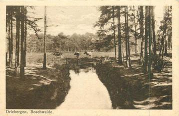 (381-061-017) Driebergen Boschweide beschikbaar voor biedingen