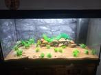 Te compleet aqauruim  half jaar  oud met in richting, Dieren en Toebehoren, Vissen | Aquaria en Toebehoren, Ophalen, Nieuw, Verlichting of Verwarming