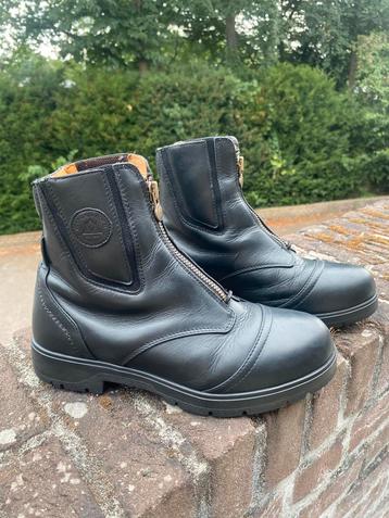 Jodhpurs Mountainhorse 38 beschikbaar voor biedingen