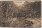 Zeist Zeisterbosch Oude Gelopen Ansichtkaart ( B5361 ), Verzamelen, Ansichtkaarten | Nederland, Ophalen of Verzenden, 1920 tot 1940