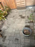 Gratis tegels ophalen, Tuin en Terras, Tegels en Klinkers, Ophalen, Gebruikt, Overige typen, Minder dan 5 m²