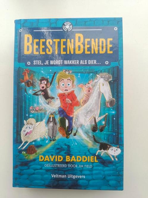 David Baddiel - Beestenbende, Boeken, Kinderboeken | Jeugd | 10 tot 12 jaar, Zo goed als nieuw, Ophalen of Verzenden