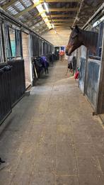 Kleinschalige gezellige pensionstal aangeboden, Dieren en Toebehoren, Stalling en Weidegang, Stalling