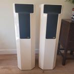 Elipson 1303 Z gereviseerd, Gebruikt, Overige typen, 60 tot 120 watt, Ophalen