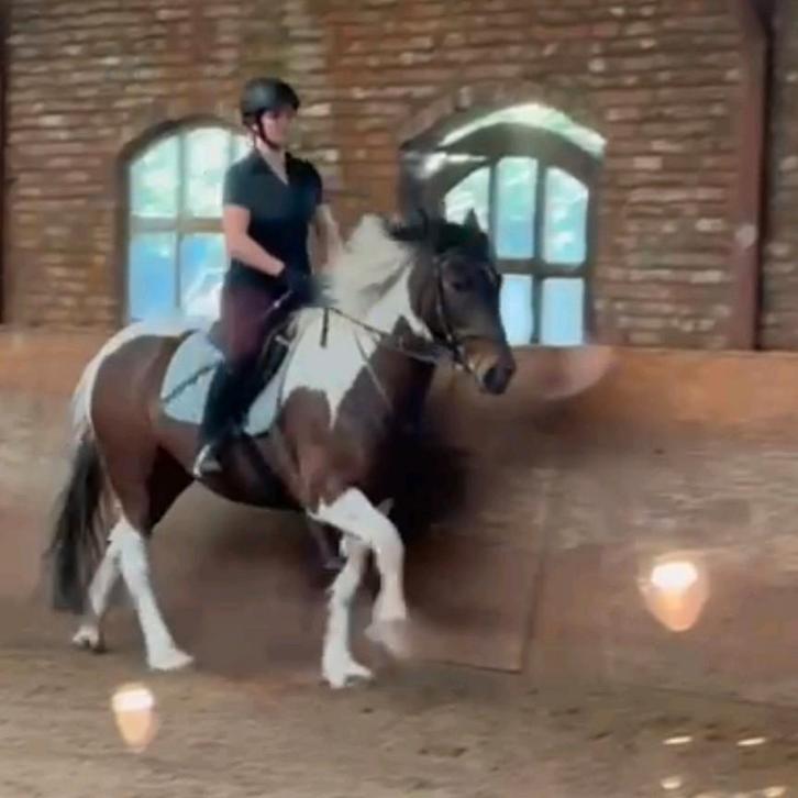 Recreatieve bijrijdster 18+  aangeboden, Dieren en Toebehoren, Paarden en Pony's | Overige Paardenspullen, Nieuw, Recreatie, Ophalen of Verzenden