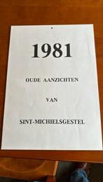 Kalender 1981 oude aanzichten sint-michielsgestel, Diversen, Kalenders, Ophalen of Verzenden, Zo goed als nieuw
