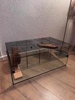 Hamsterkooi, Ophalen, Minder dan 75 cm, Kooi, Minder dan 60 cm