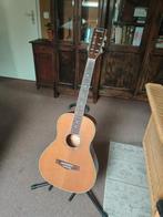 Westen gitaar richwood, Ophalen, Gebruikt, Western- of Steelstringgitaar