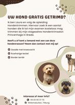 GRATIS HOND TRIMMEN, Ophalen, Nieuw