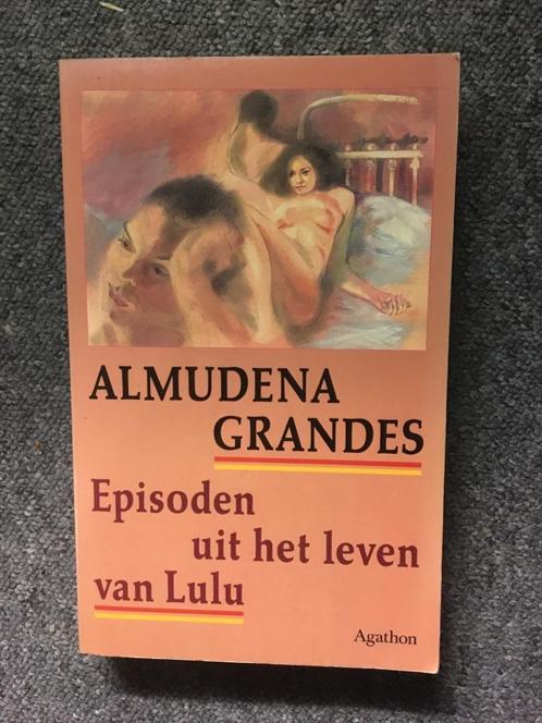 Episoden uit het leven van Lulu ; Almuneda Grandes #Spanje, Boeken, Literatuur, Zo goed als nieuw, Europa overig, Ophalen of Verzenden