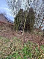 Snoeiwerkzaamheden Stramproy!, Ophalen of Verzenden