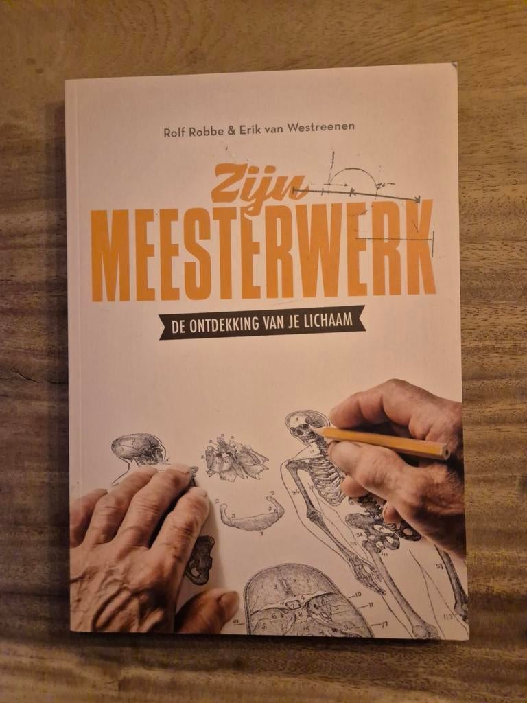 Rolf Robbe - Zijn meesterwerk, Boeken, Godsdienst en Theologie, Zo goed als nieuw, Ophalen of Verzenden