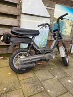 Gillera cita, Fietsen en Brommers, Ophalen