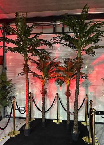 Kunstpalm set beschikbaar voor biedingen