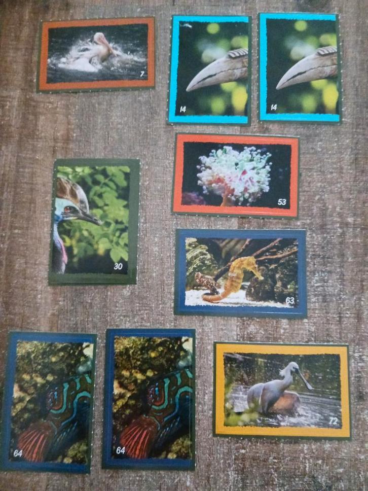 Deka Artis zegels, Verzamelen, Supermarktacties, Plus, Ophalen of Verzenden