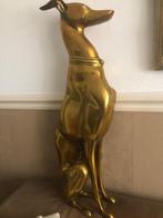 statig hond windhond hazewindhond whippet gold kleur beeld, Ophalen of Verzenden