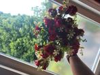Kunstbloemen roze  4 takken, Antiek en Kunst, Ophalen of Verzenden
