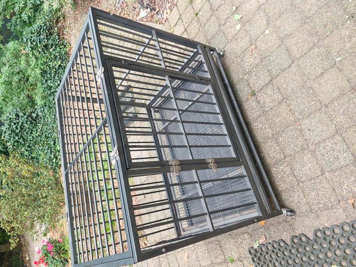 Honden ren solide  xl, Dieren en Toebehoren, Hondenhokken, Zo goed als nieuw, 75 tot 110 cm, Ophalen