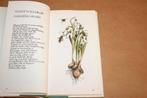 Klein herbarium van Marjolein Bastin, Boeken, Natuur, Ophalen of Verzenden, Gelezen, Bloemen, Planten en Bomen