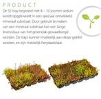 Sedum Cassetes maak zelf eenvoudig uw groene dak, Ophalen of Verzenden, Zomer, Overige soorten, Volle zon