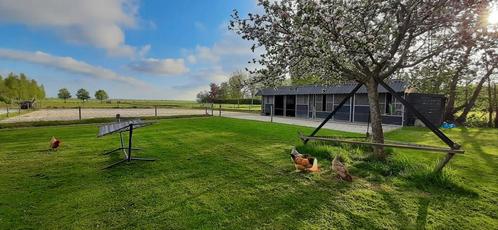Plekje voor 2 (<C) pensioen pony's aangeboden, Dieren en Toebehoren, Stalling en Weidegang, Opfok, Stalling, Weidegang, 2 of 3 paarden of pony's