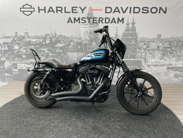 Harley-Davidson XL1200NS Iron Special (bj 2019) beschikbaar voor biedingen