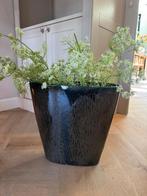 Kunst bloemen, Ophalen of Verzenden, Zo goed als nieuw, Binnen