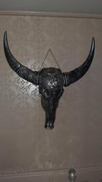 Skull Bison, Ophalen, Zo goed als nieuw