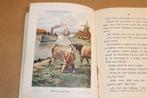 Dicht Bij Huis — Stukje 3 — Ligthart & Scheepstra [1917], Ophalen of Verzenden, Gelezen, Fictie algemeen