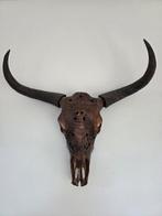 Decoratieve schedel met gravures, Ophalen of Verzenden