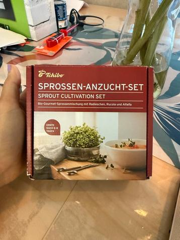 Kiemschaaltje met glazen pot beschikbaar voor biedingen