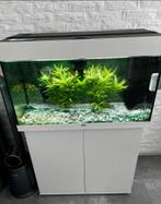 **Te Koop: Prachtig Aquarium met Tetra EX 1200, Ophalen of Verzenden, Leeg aquarium