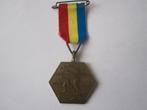 medaille schaatsen, Ophalen of Verzenden, Overige materialen, Nederland