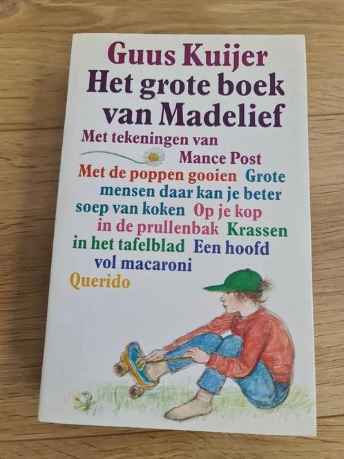 Het grote boek van Madelief, Boeken, Kinderboeken | Jeugd | onder 10 jaar, Zo goed als nieuw, Fictie algemeen, Ophalen of Verzenden